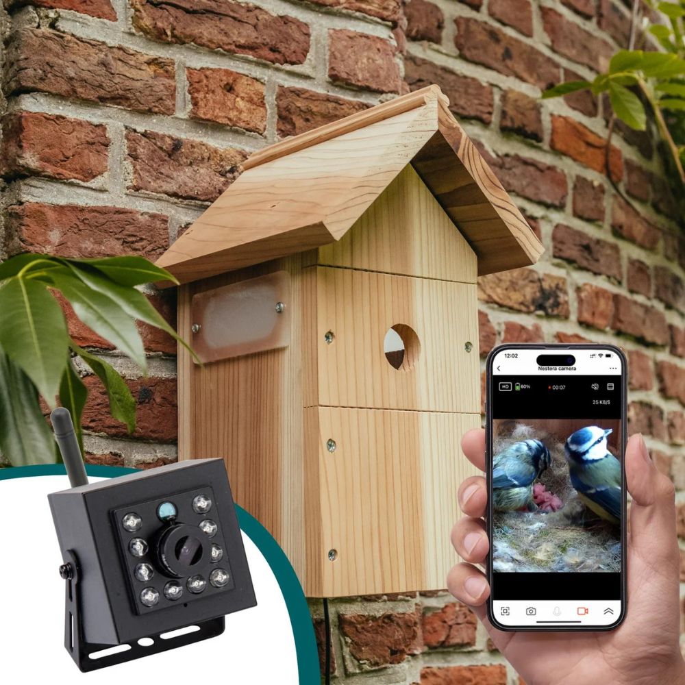 Nichoir avec caméra wifi