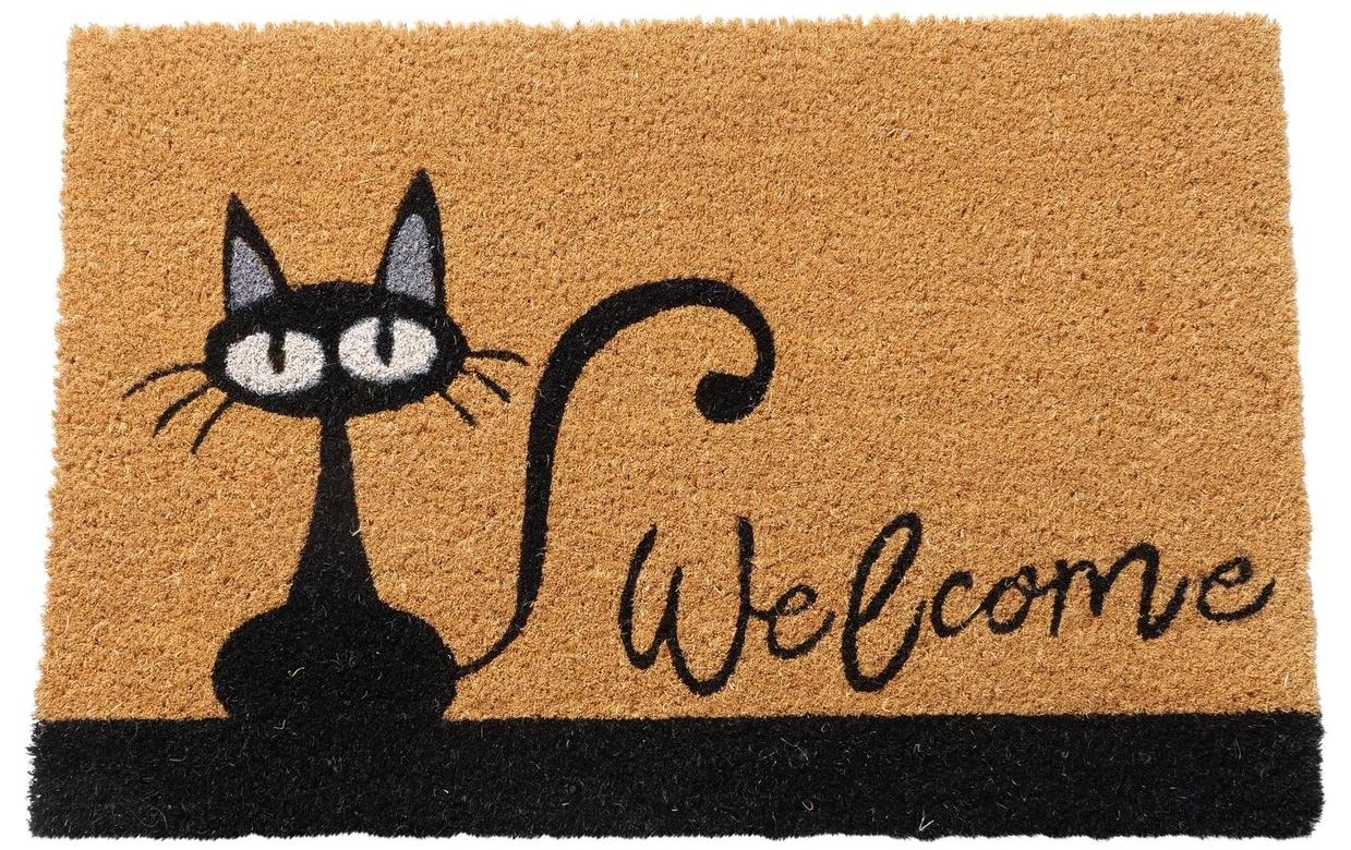 Fussmatte Welcome 40 cm x 60 cmFussabtreter