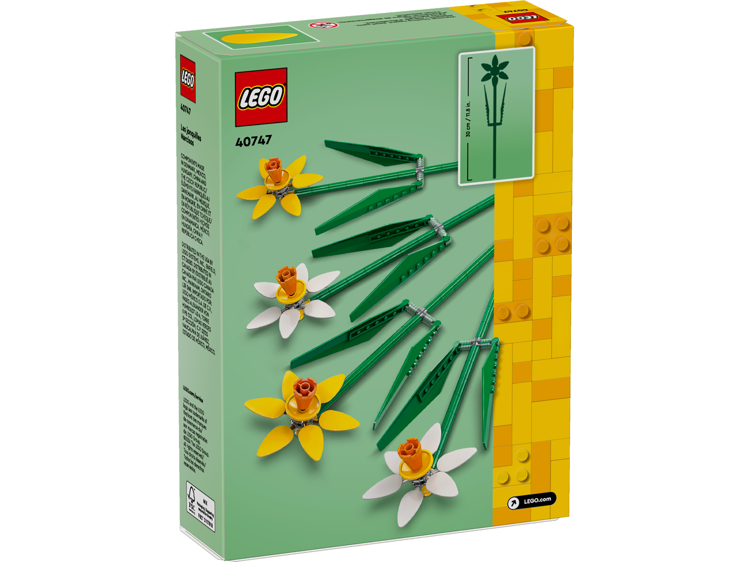 Narcisos 40747