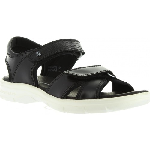 Panama Jack - SANDERS BW C1 Negro