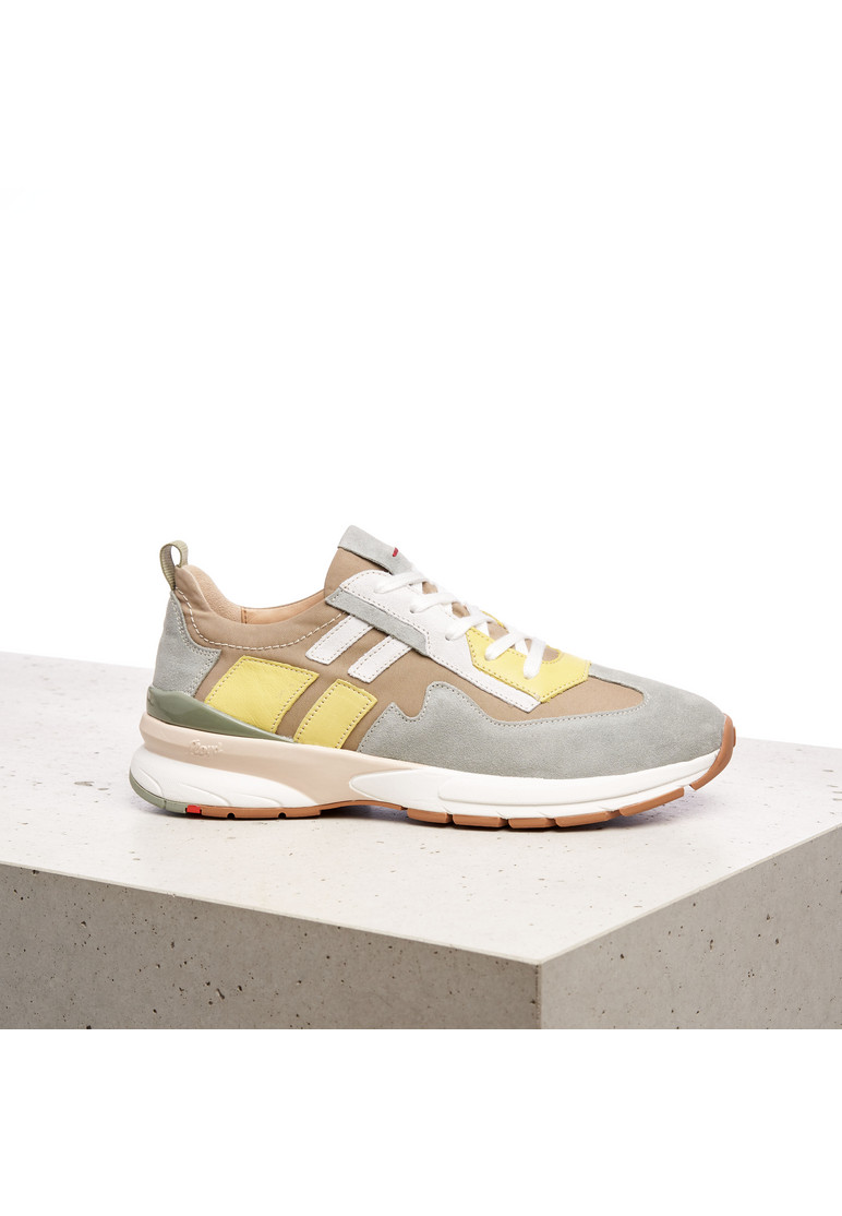 SNEAKER Multicolor