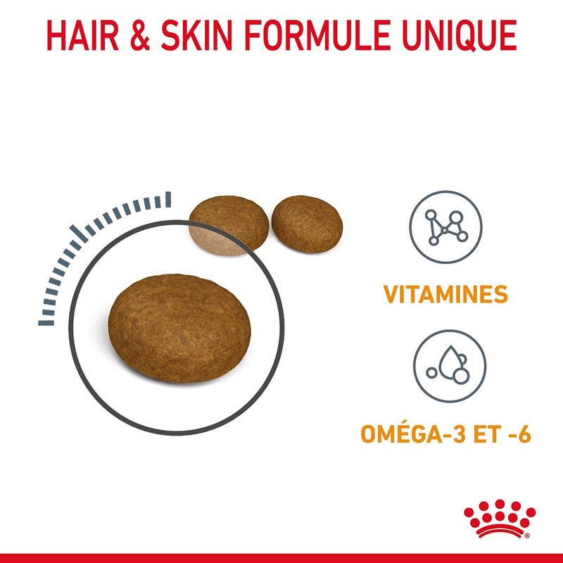 Royal Canin Hair & Skin Care à prix discount sur bitiba.fr
