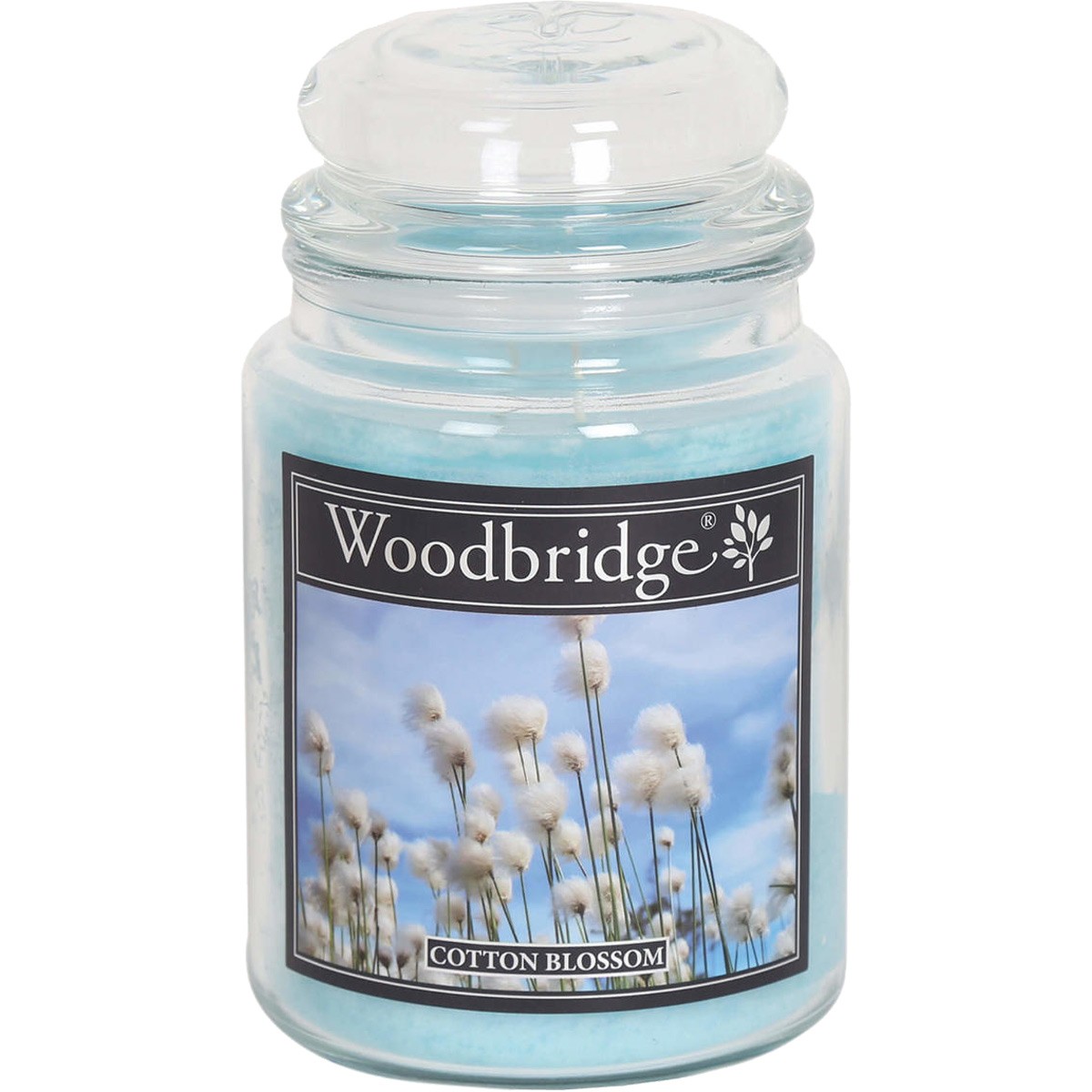 Bougie parfumée - Cotton Blossom - Ambre & muguet - 565 g