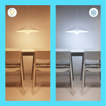WiZ Connected LED peer E27 60 W mat koel tot warmwit licht dimbaar 2 stuks