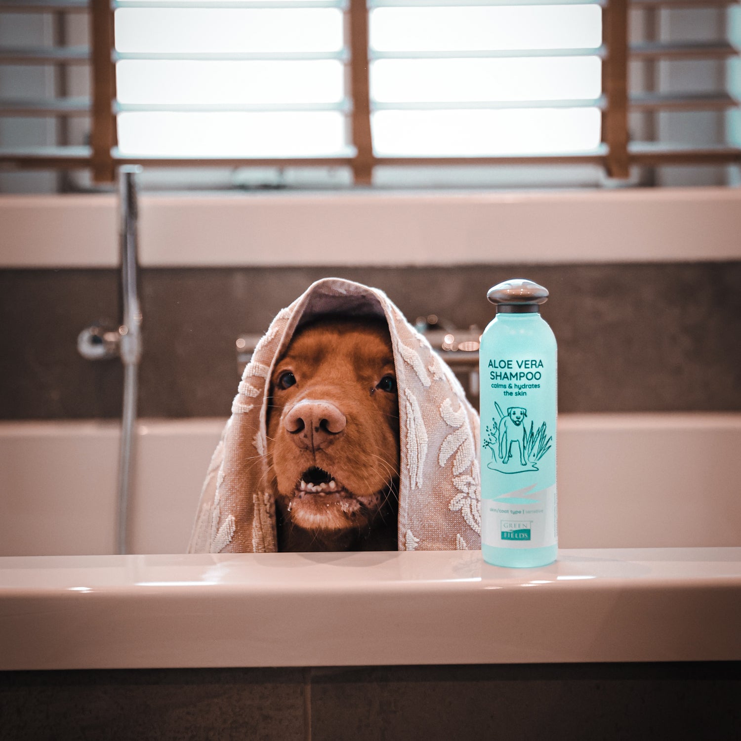 Greenfields hondenshampoo aloevera 270 ml