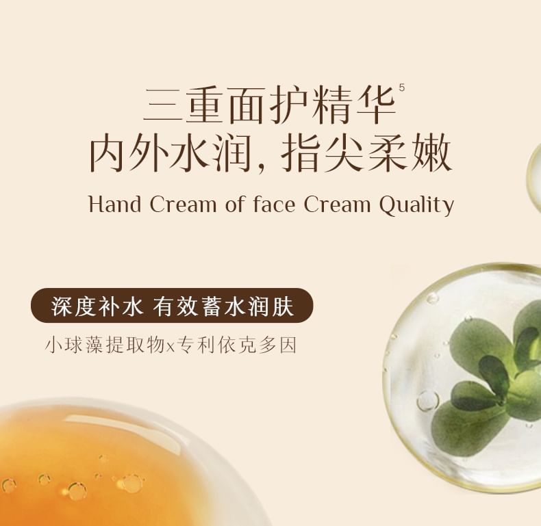 DearIrean - Moist Hand Cream - Aix Vacation