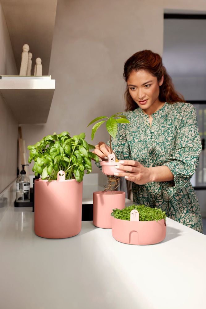 Elho kweekpot Amazing Avocado terracotta D 12 H 12,1 cm