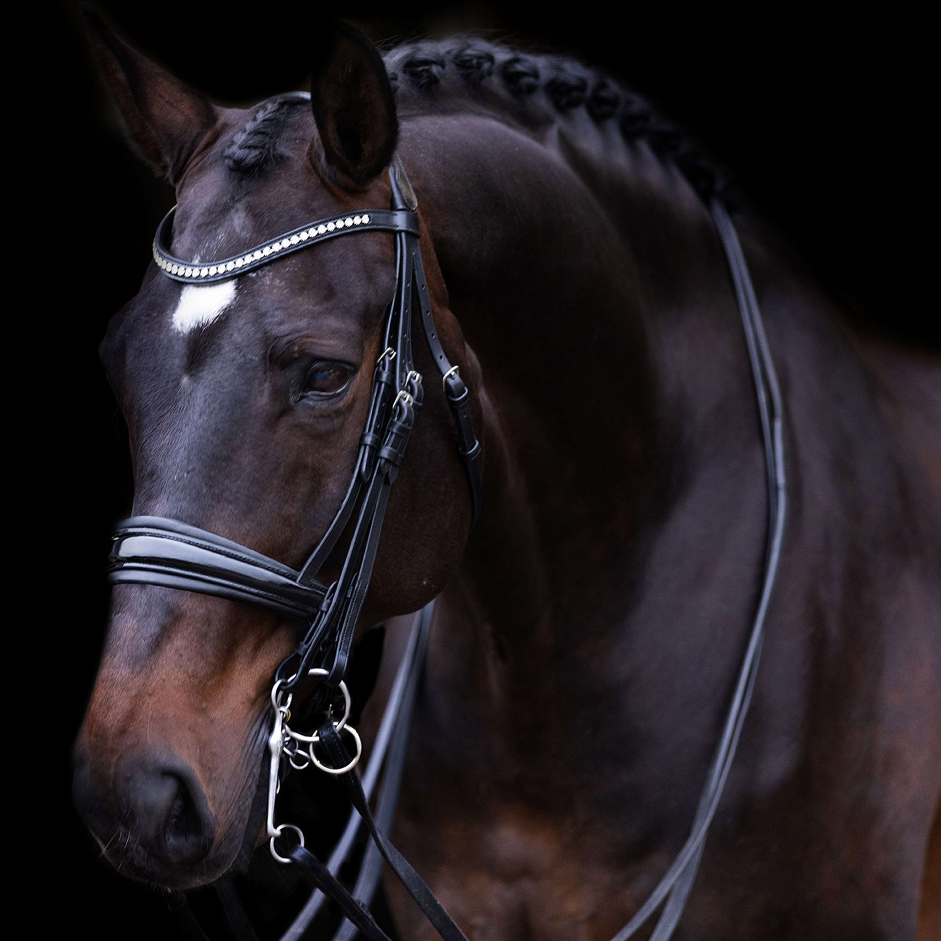Imperial Riding Stang- en Trenshoofdstel IRHFria Zwart
