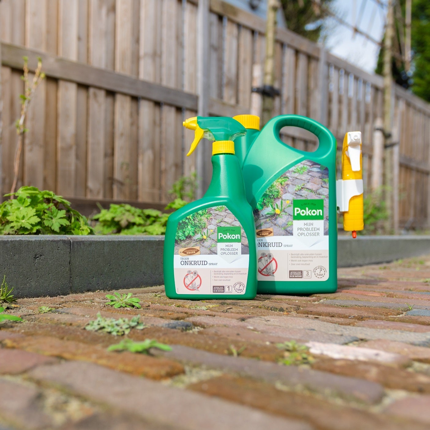 Pokon Tegen Onkruid spray 1 L