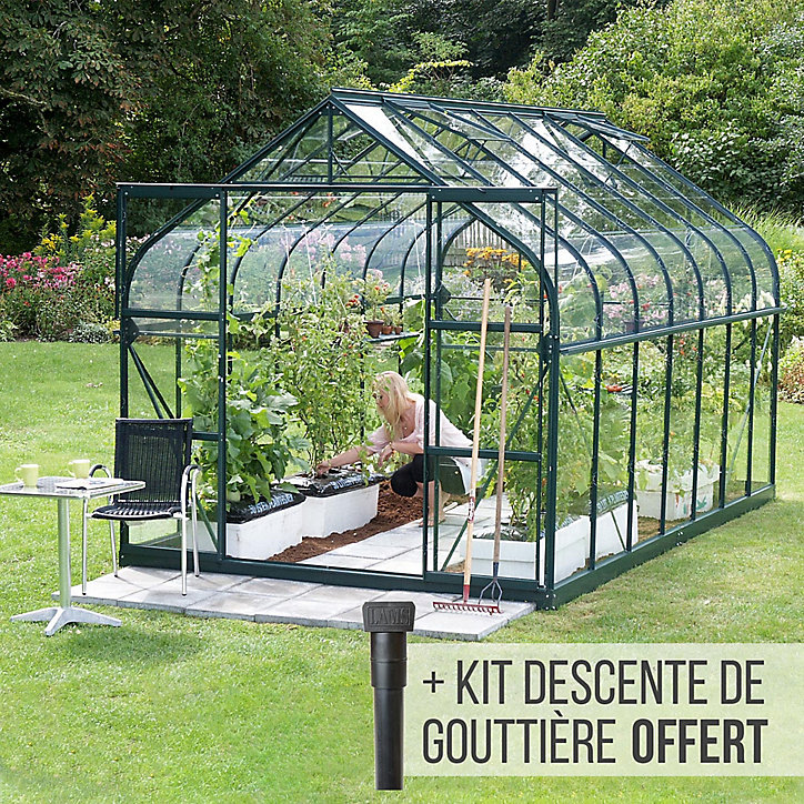 Serre en verre Lams Aloe vert 11,30m²
