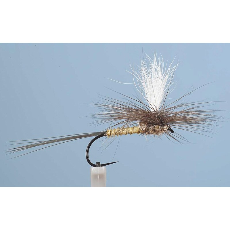 Mouche Ephemere Jmc Dc53 Bl