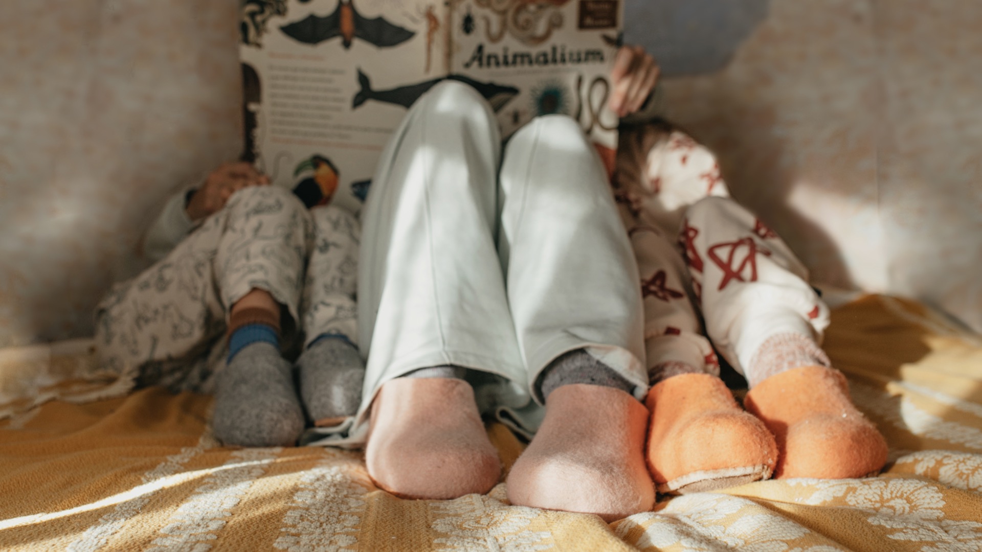 MIM Felt Slipper