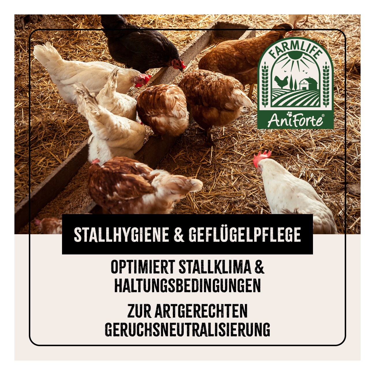 AniForte Kieselgur Pulver inkl. Stäuberflasche 2kg