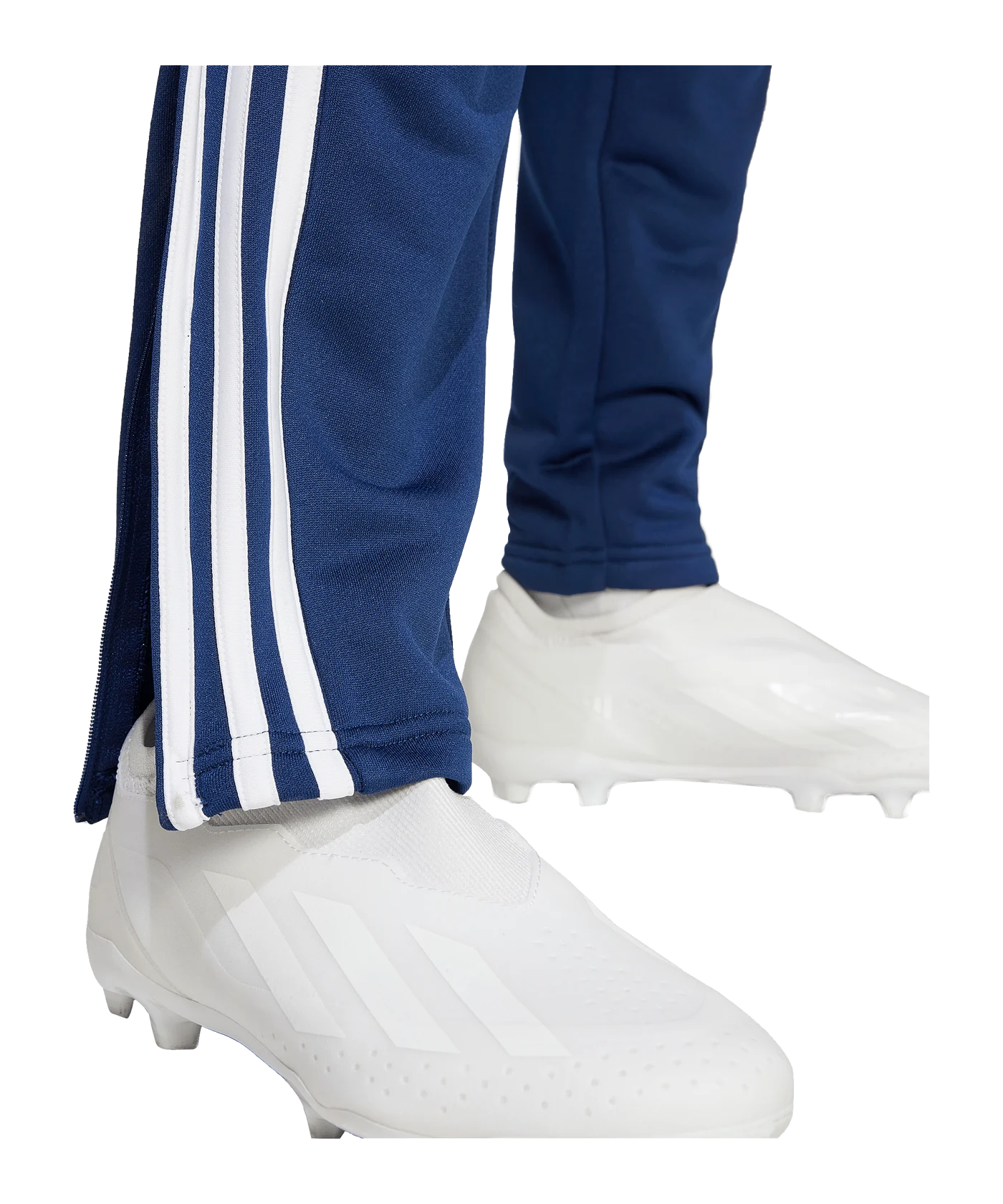 adidas Tiro 24 Winterized Pants Blue