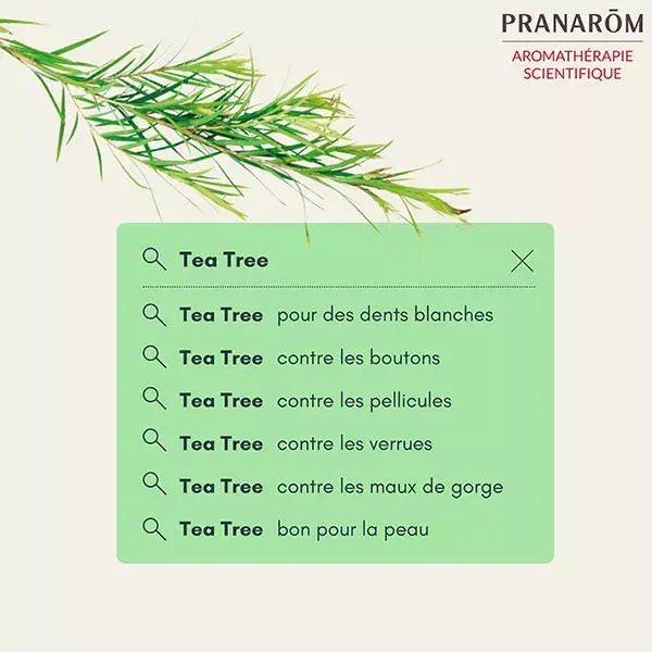 Óleo Essencial de Melaleuca Pranarom 10ml