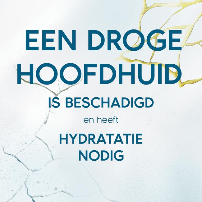 Head & Shoulders Derma X Pro Kalmeert Hoofdhuidbalsem Anti-roos 145ML
