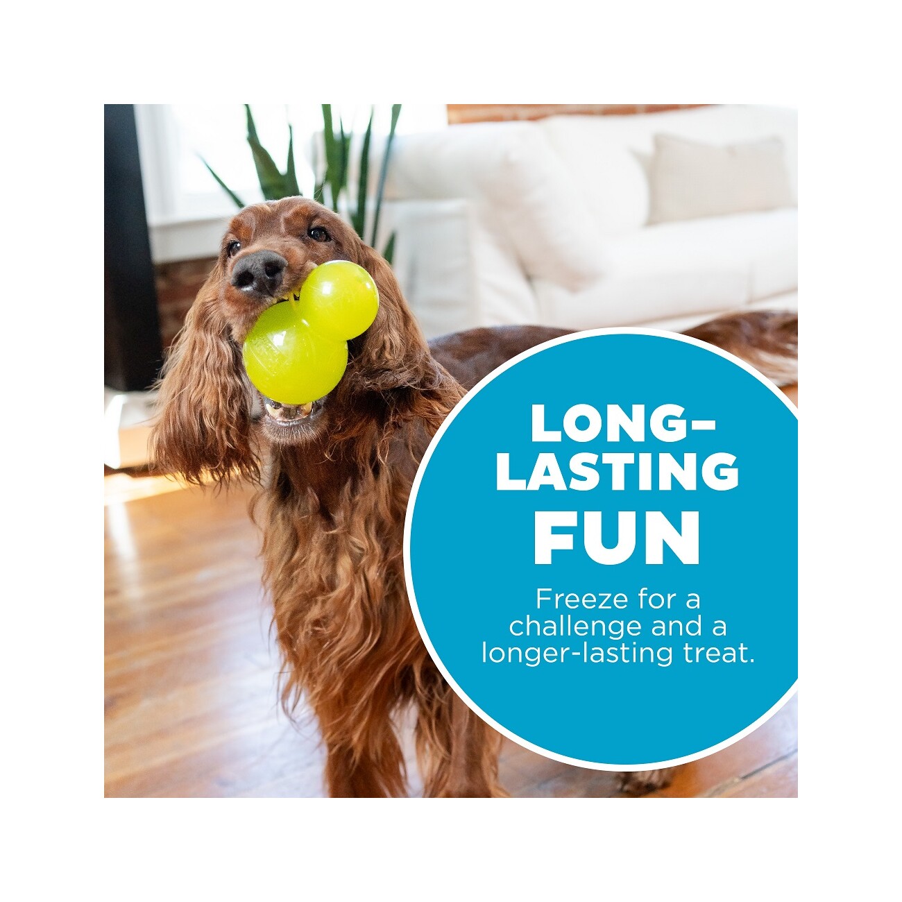 Planet Dog Double Tuff Outward Hound Hundespielzeug