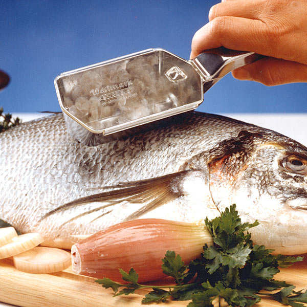 Ecailleur à poissons Scalex - Westmark