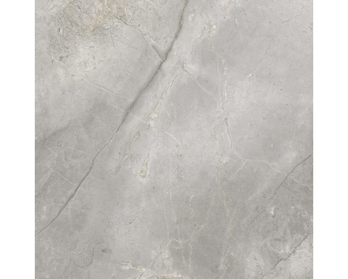 Porseleinen steengoed wand- en vloertegel Lido 119,7 x 119,7 x 0,8 cm Zilver mat gerectificeerd