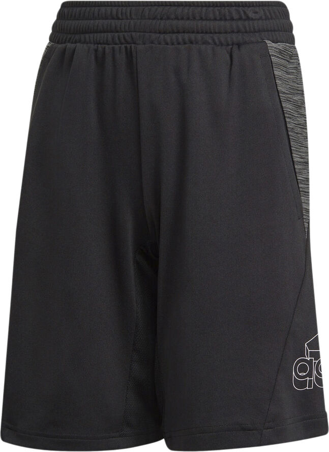 adidas AEROREADY Heather træningsshorts Sort