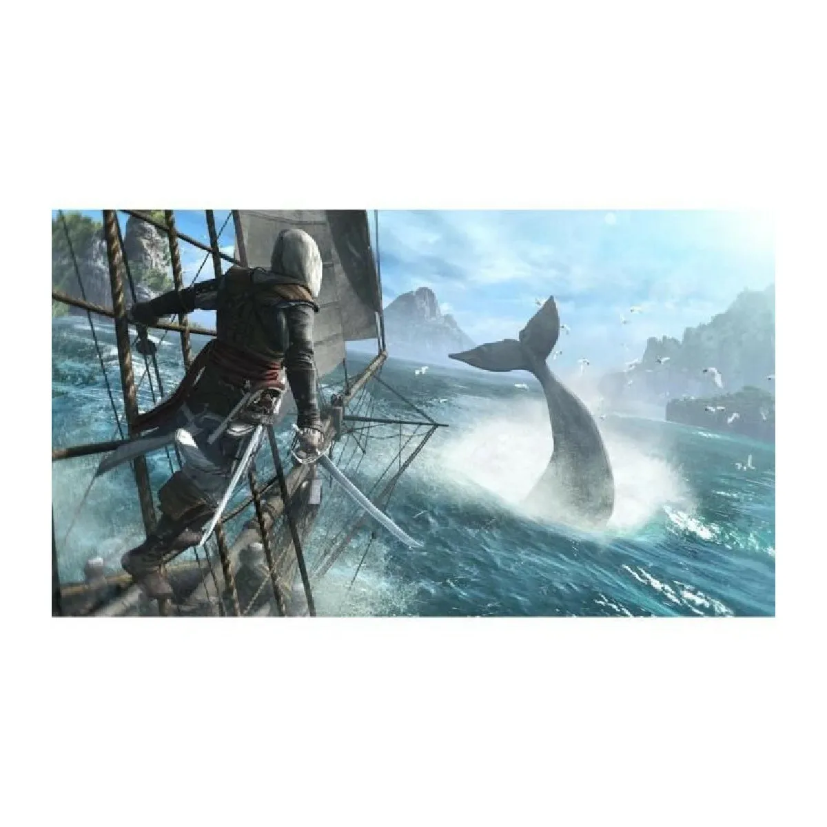 Ubisoft Assassin's Creed 4 Black Flag - PS4