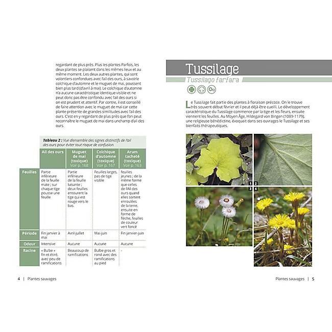 ARTEMIS - LE BUSHCRAFT LES BIENFAITS DES PLANTES SAUVAGES