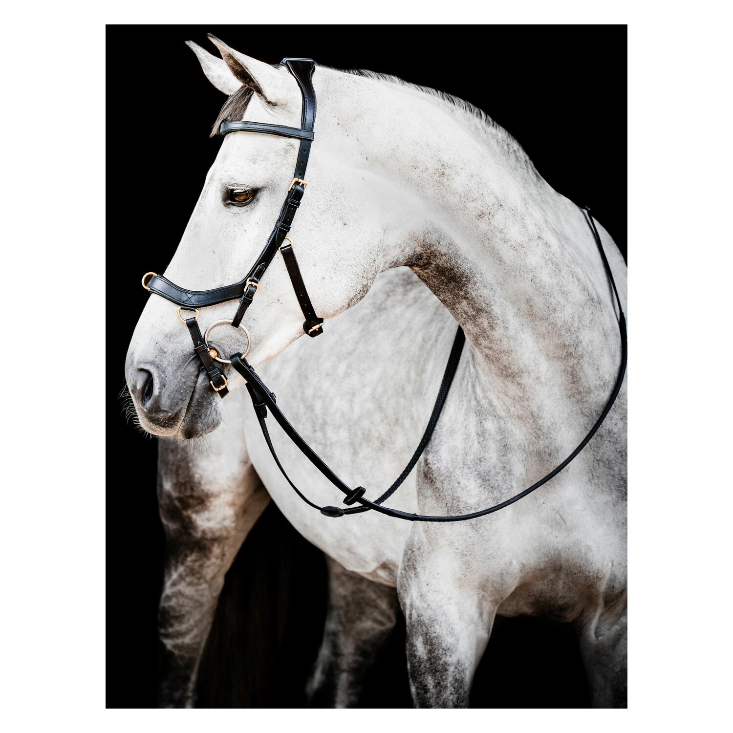 HORSEWARE Micklem 2 Multi Bridle  - black