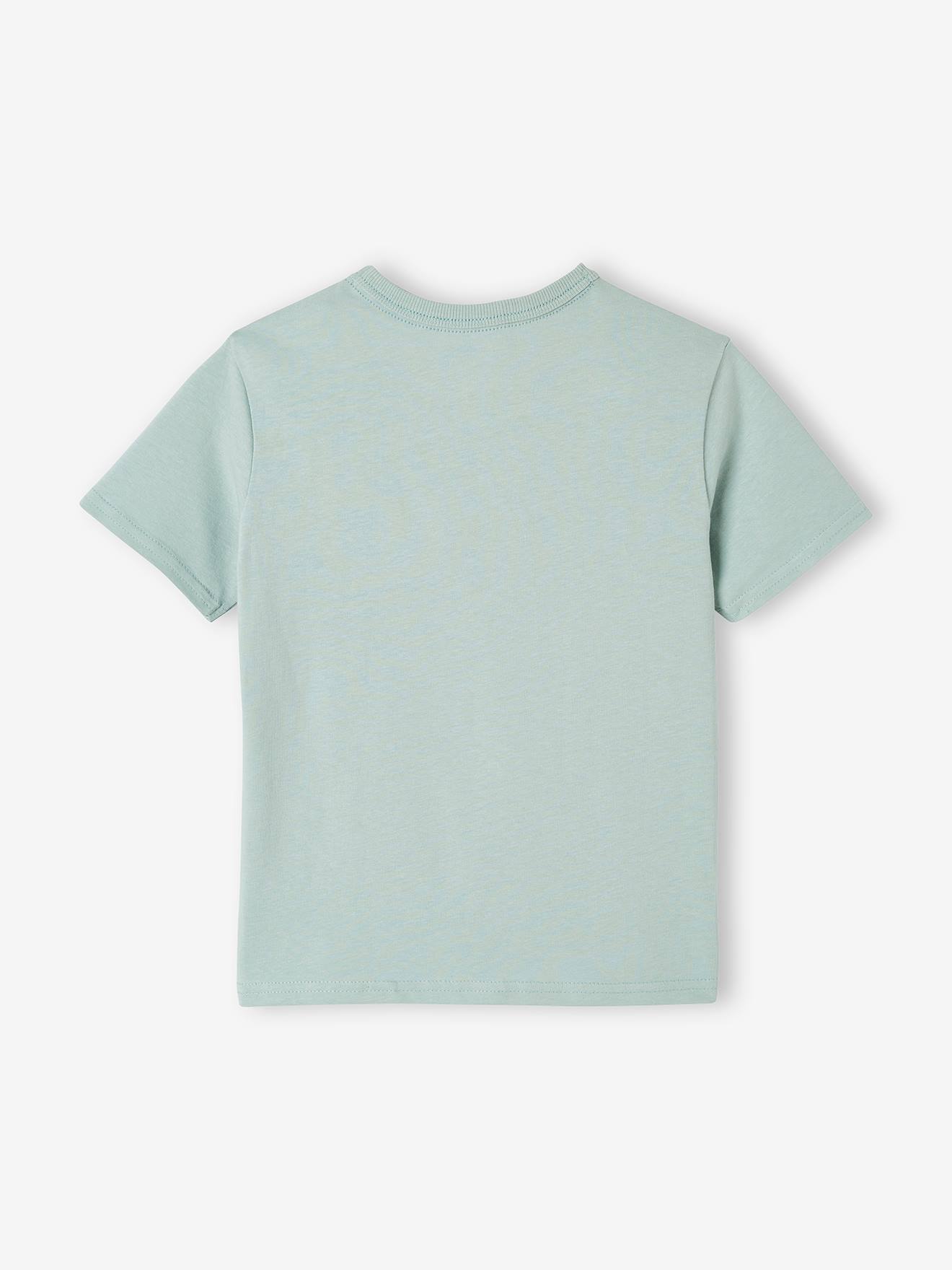 Camiseta de manga curta com estampas gráficas, para meninos, azul claro liso com motivos.