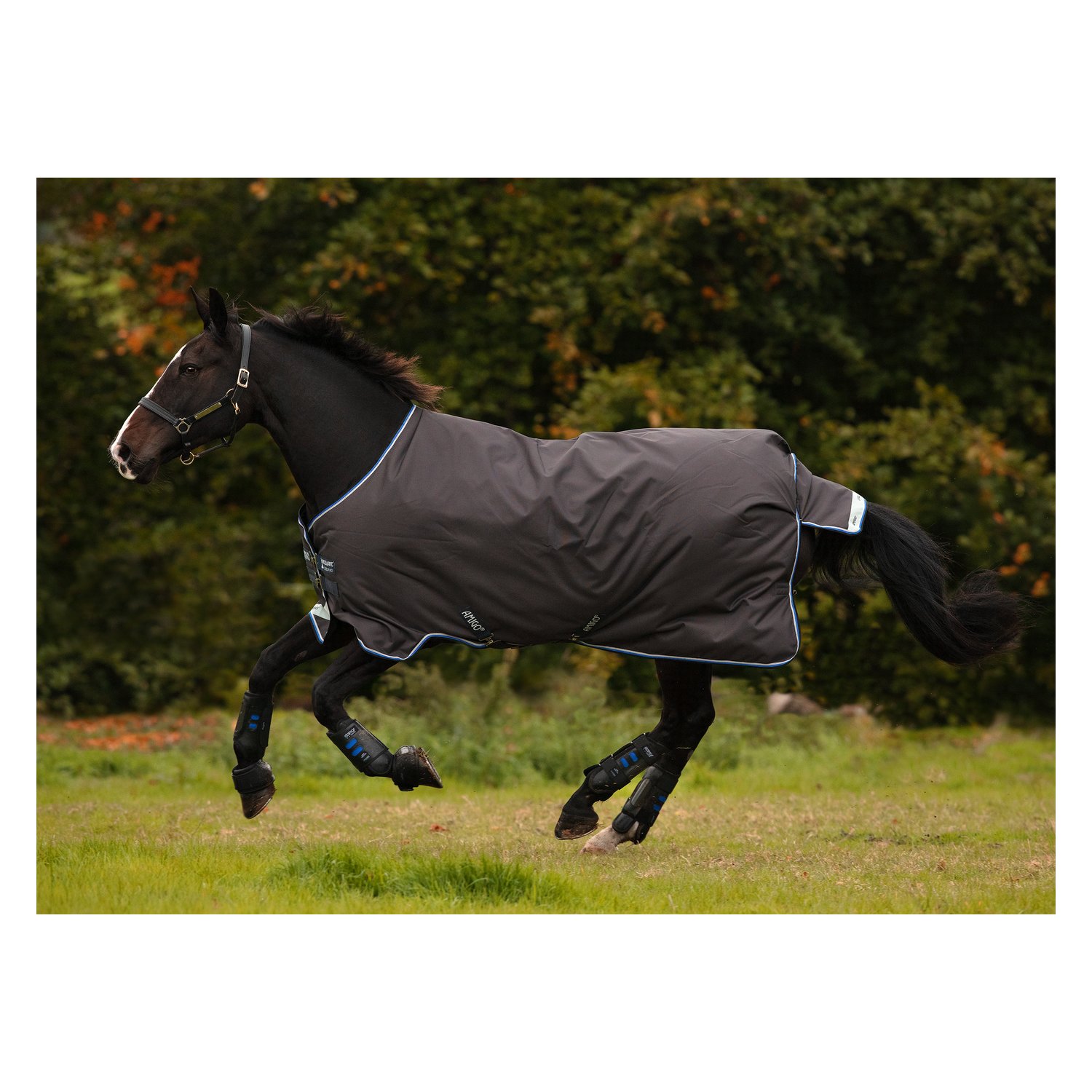 Horseware Regendecke AMIGO Bravo 12 Lite 100 - excalibur/strongblue & black