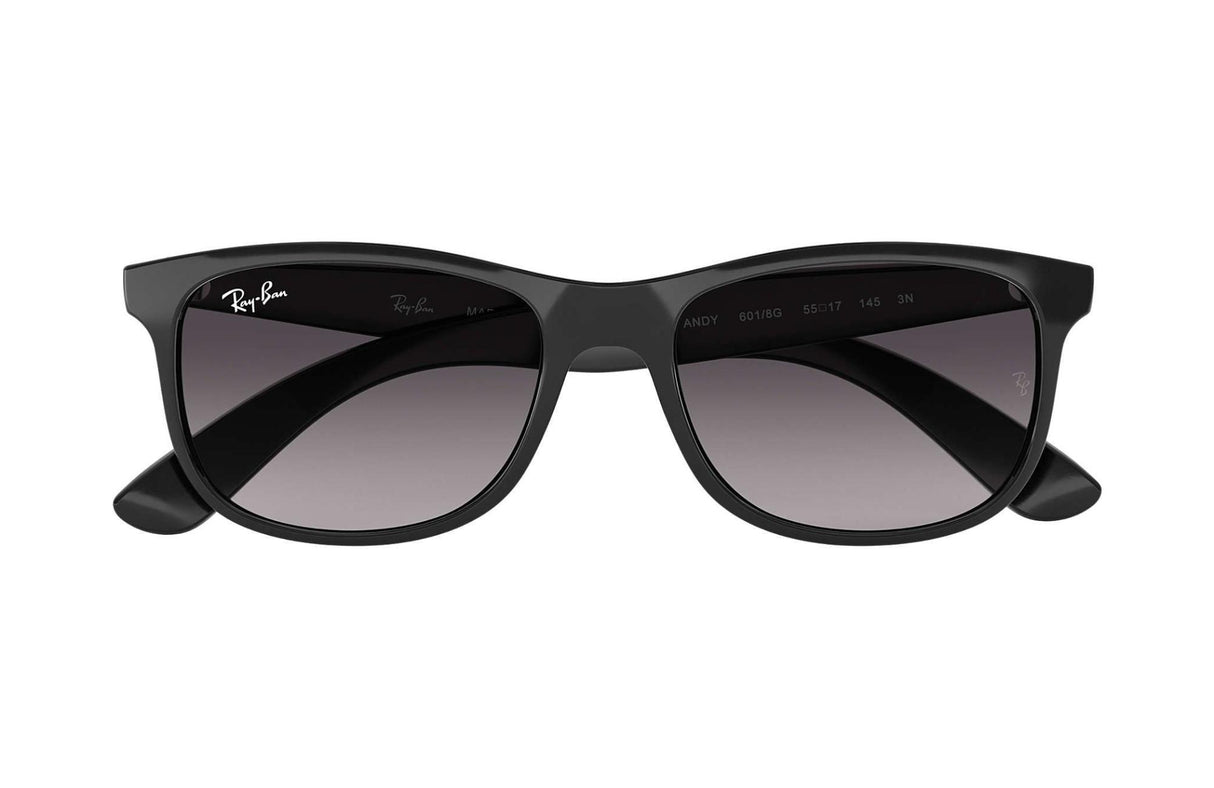 Ray-Ban<br>Andy Black