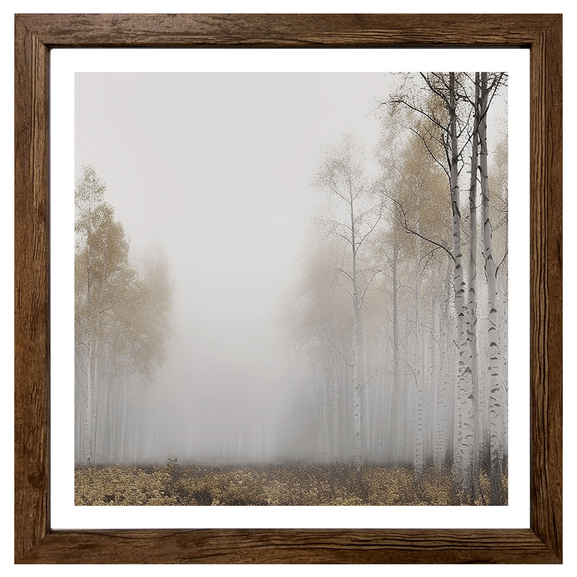 Gerahmtes Bild/Cheb NEBELWALD - 35x35 cm