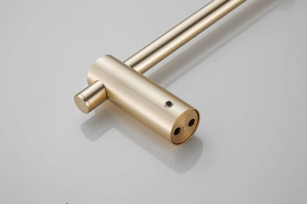 Saniclear Academy toilet rolhouder geborsteld messing mat goud