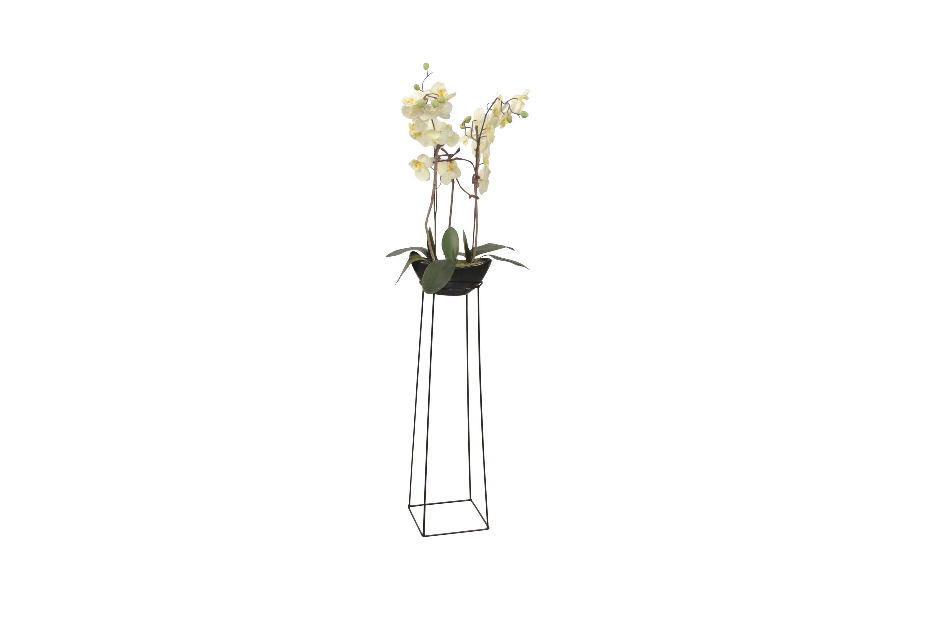 möbel direkt online Blumenständer Anke
