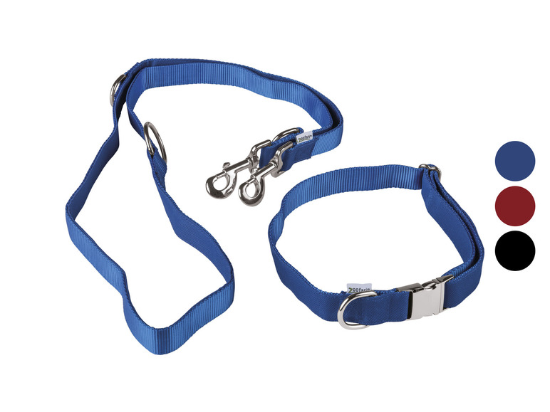 Hondenhalsband