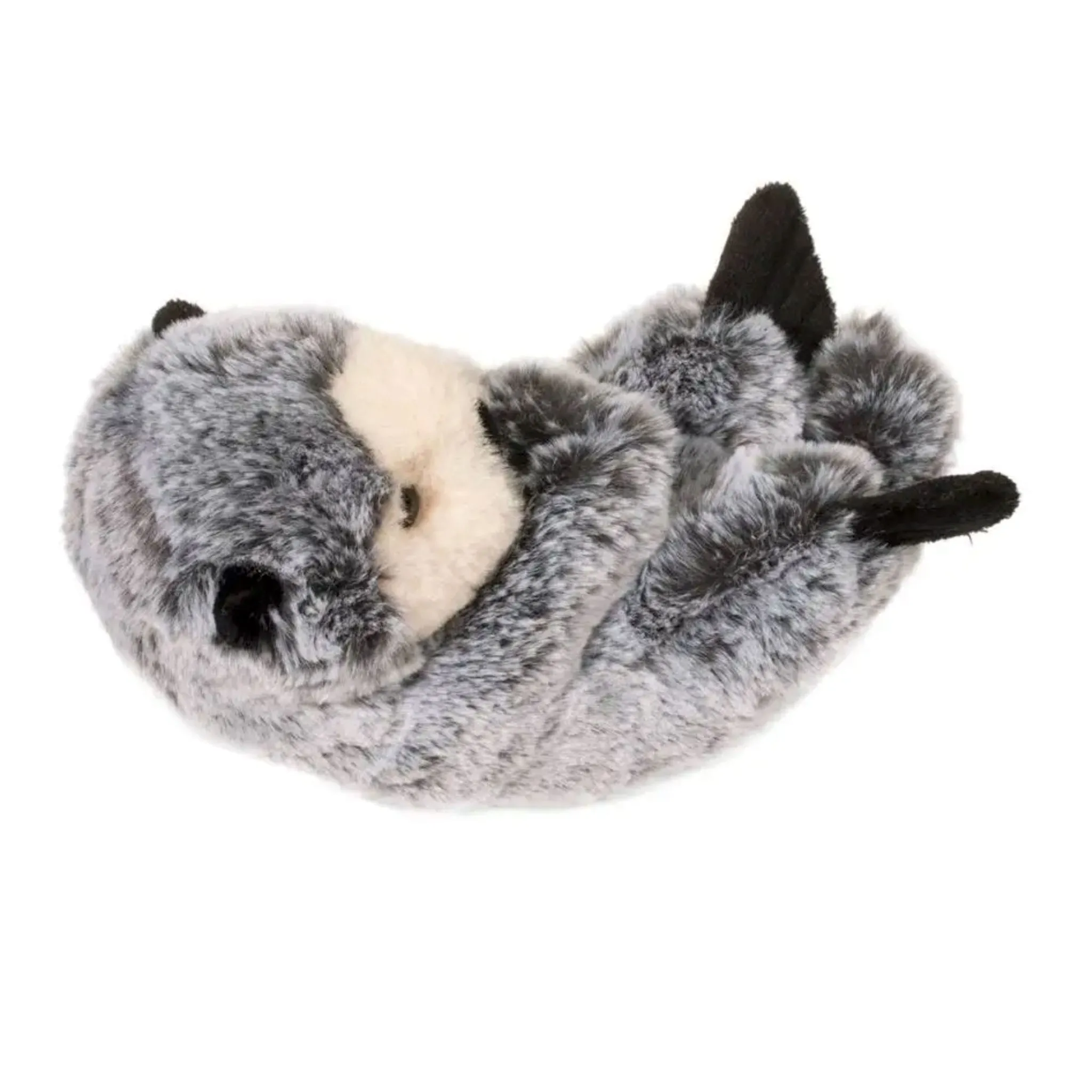 Douglas Loutre 6