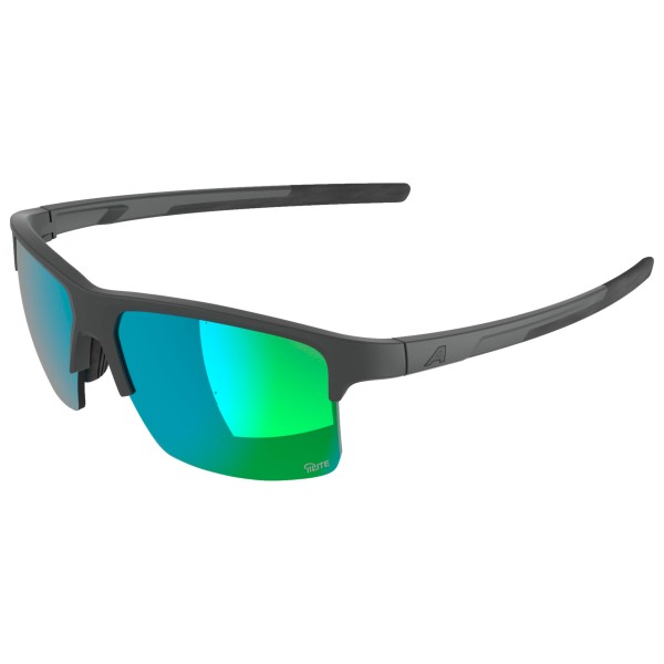 Alpina - Eagle Q-Lite S2 - Lunettes de soleil