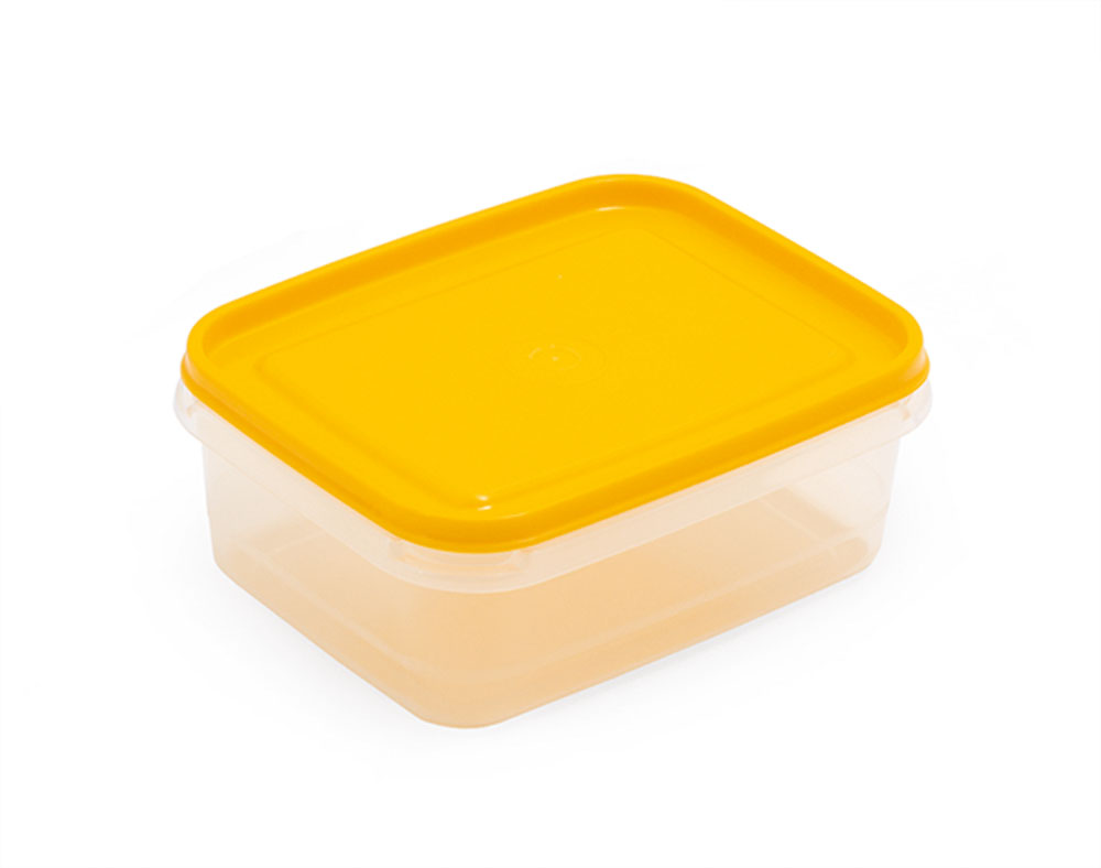CAIXA HERMÉTICA RECTANGULAR PEQUENA CANASTA 0.85L 16.5X13X5.5CM