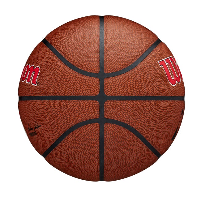 NBA Team Alliance Basketball