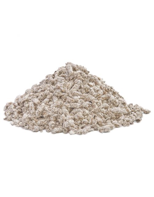 Sanicat Recycled Cellulose - Kattenbakvulling