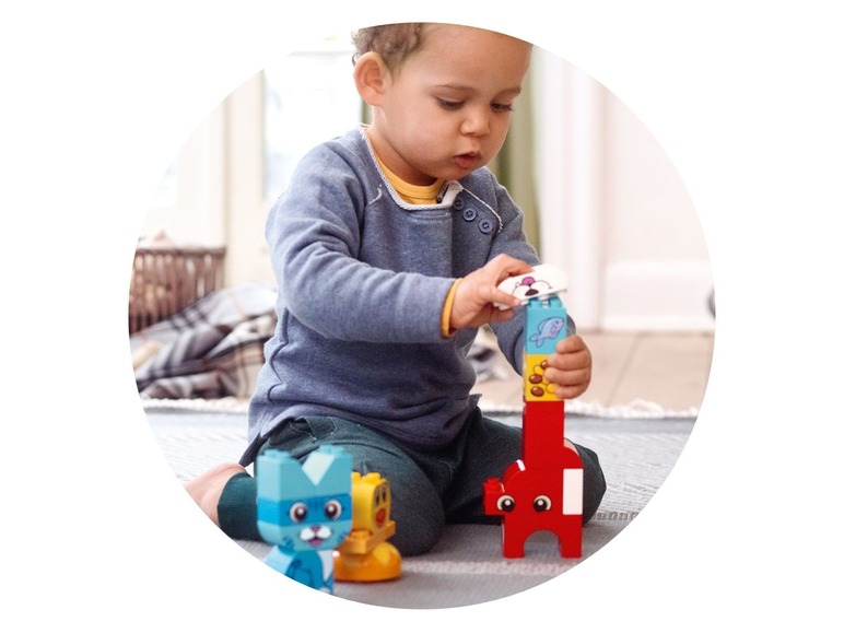 Speelset dierenkleuren