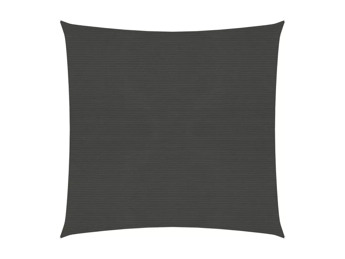 Voile d'ombrage 160 g/m² Anthracite 7x7 m PEHD