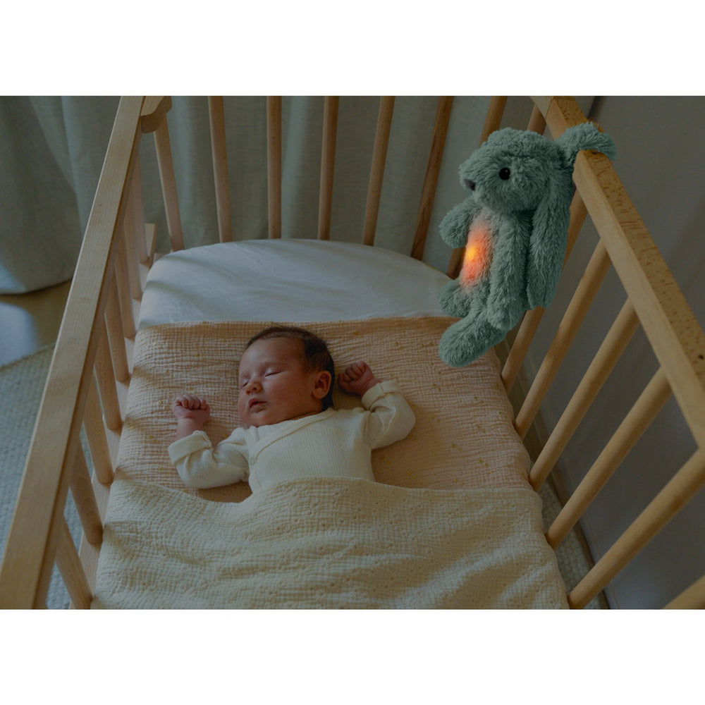 Køb Zazu Green Ro The Rabbit Nightlight