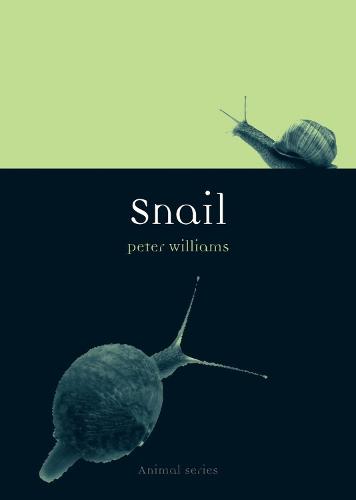 Snail - Anima Series (Paperback)