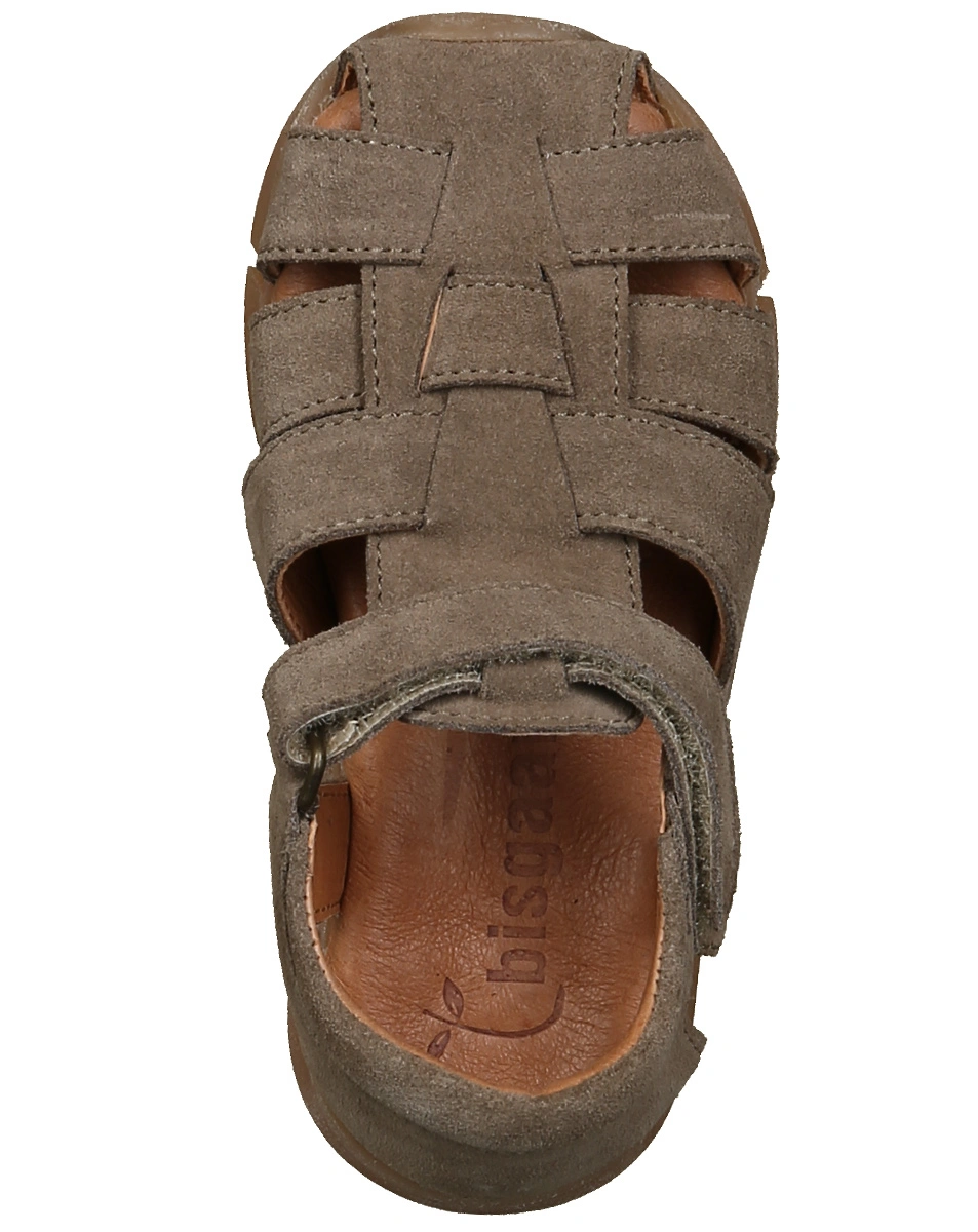 Klett-Sandalen CELIUS S  in taupe