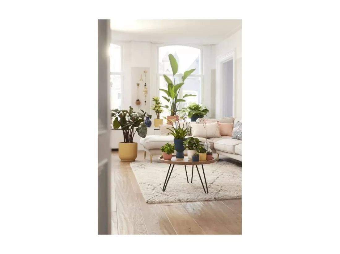 Pot de fleurs Rond VIBES - Plastique - Ø 25 - Bleu Foncé