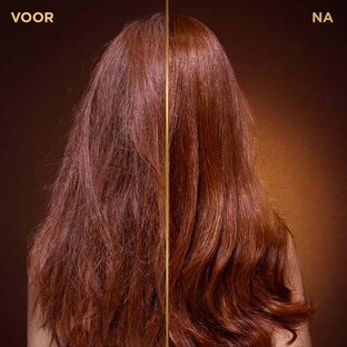 Garnier Loving Blends Conditioner Honing Goud 200ML