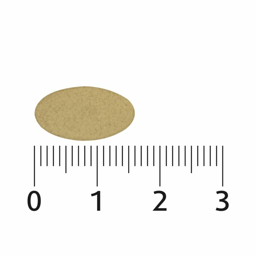 Lucovitaal Sterk IJzer Complex 60 tabletten