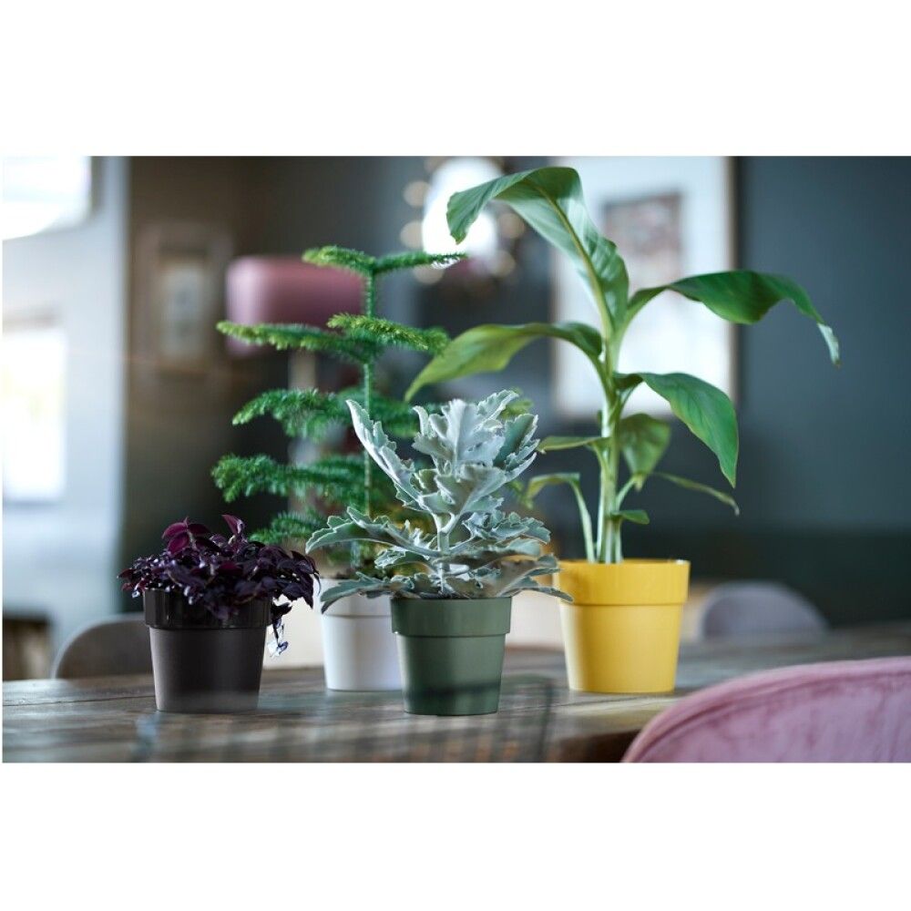 PLASTPOTTE ELHO B.FOR ORIGINAL Ø16CM SVART
