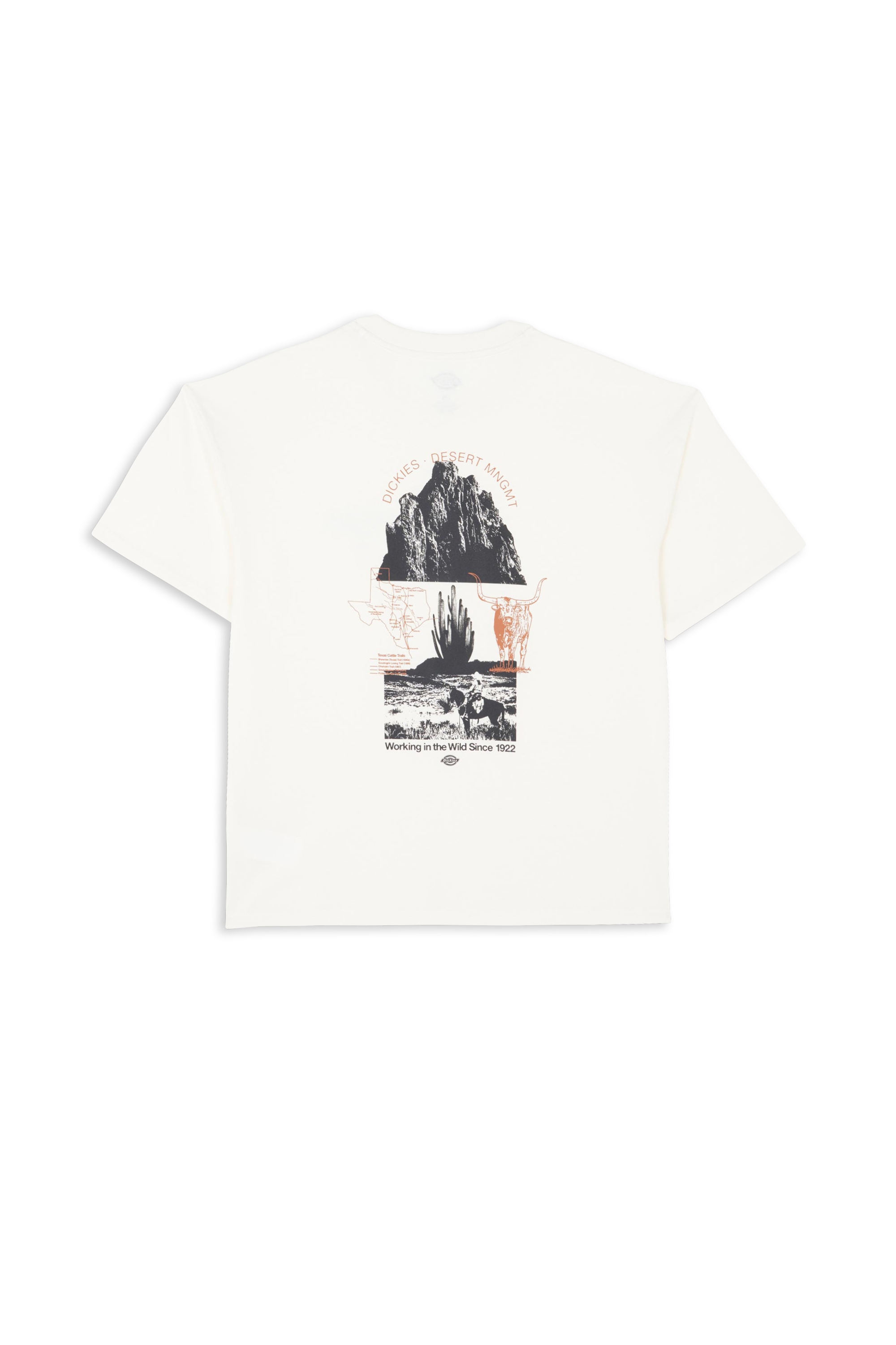 DICKIES T-shirt PEARISBURG TEE SS Beige
