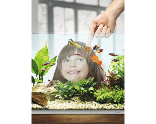 Tetra Tips 75 voedingstabletten